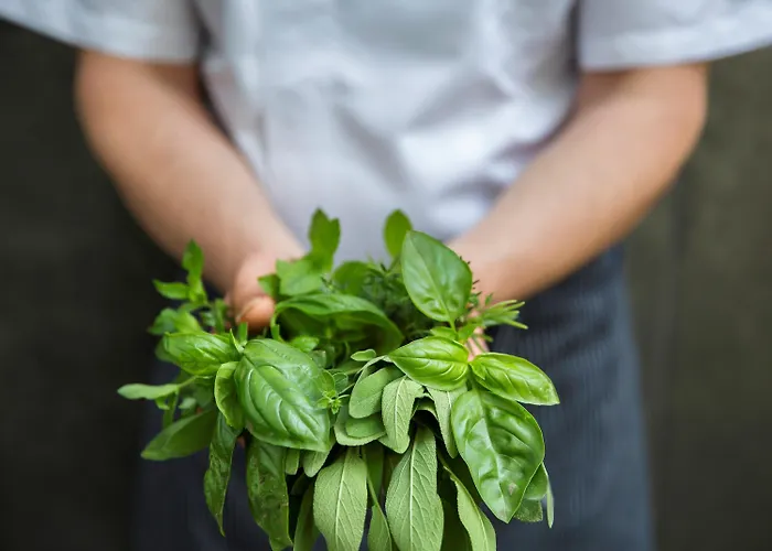 Ibis 3* 로카르노